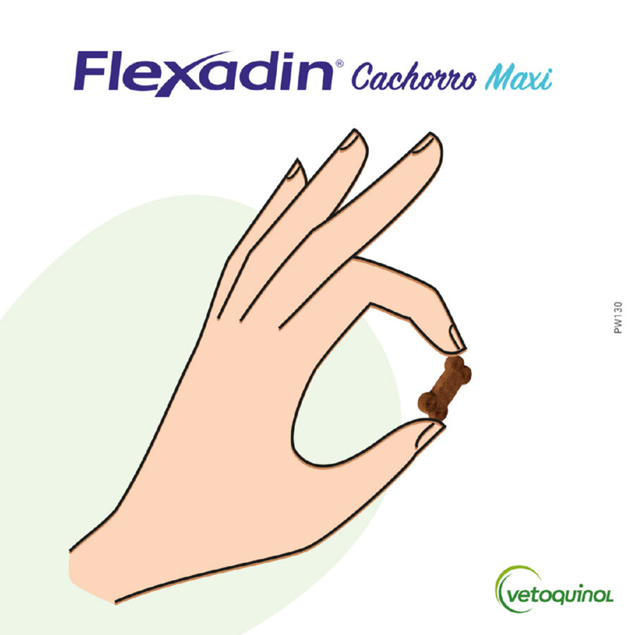 Vetoquinol Flexadin Young Maxi Condroprotetor para cachorros, , large Imagem n&uacute;mero 2